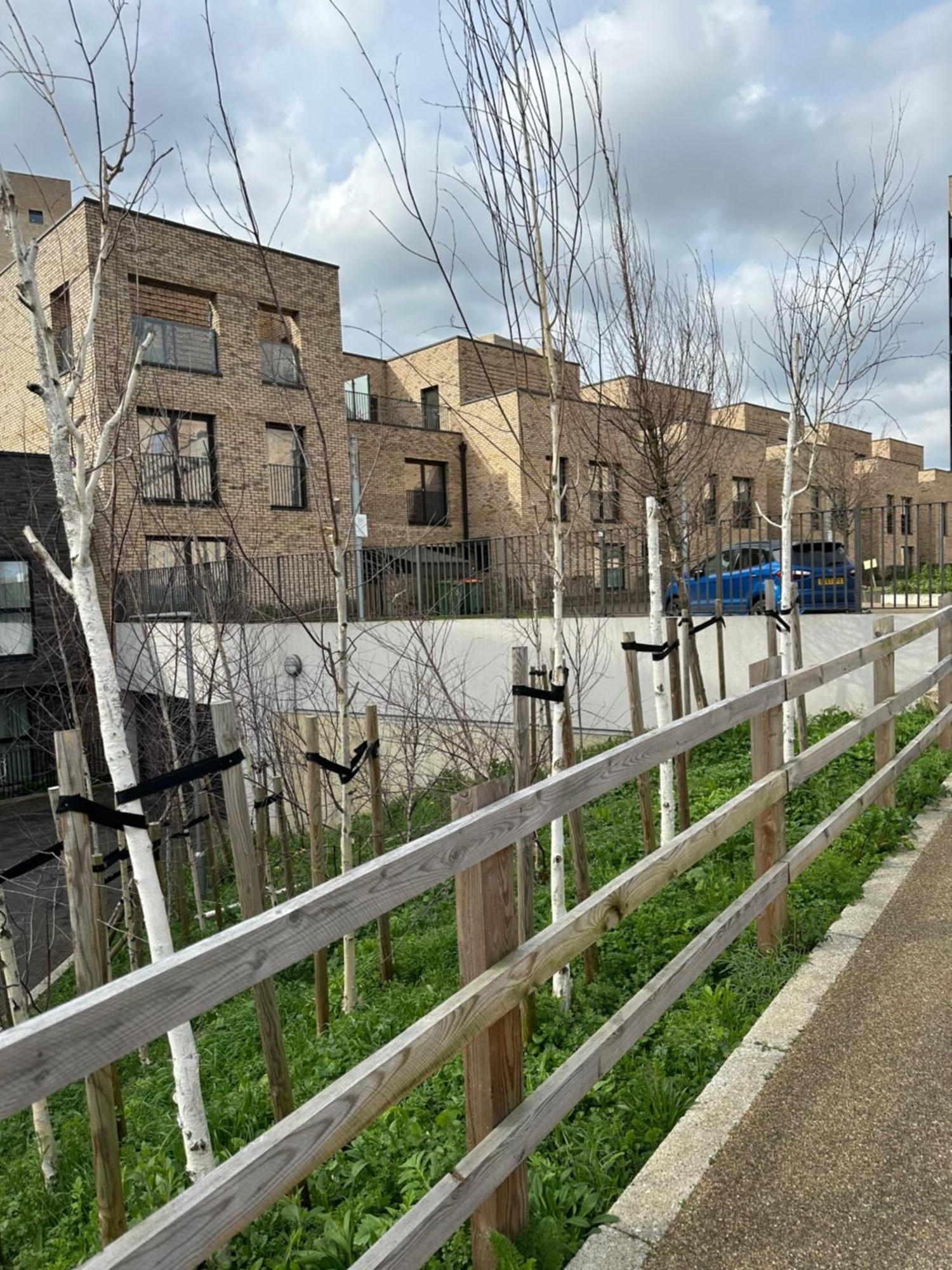 Luxury 3 Bedroom Flat In Stratford, London Exteriör bild